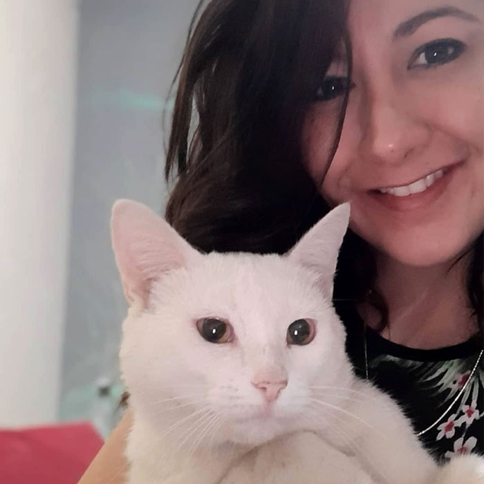 Stray Cat Begging For Food At A Store Melts This Woman's Heart, So She Adopts It And Shares Its Glow Up On Instagram Stray Cat Begging For Food At A Store Melts This Woman's Heart, So She Adopts It And Shares Its Glow Up On Instagram