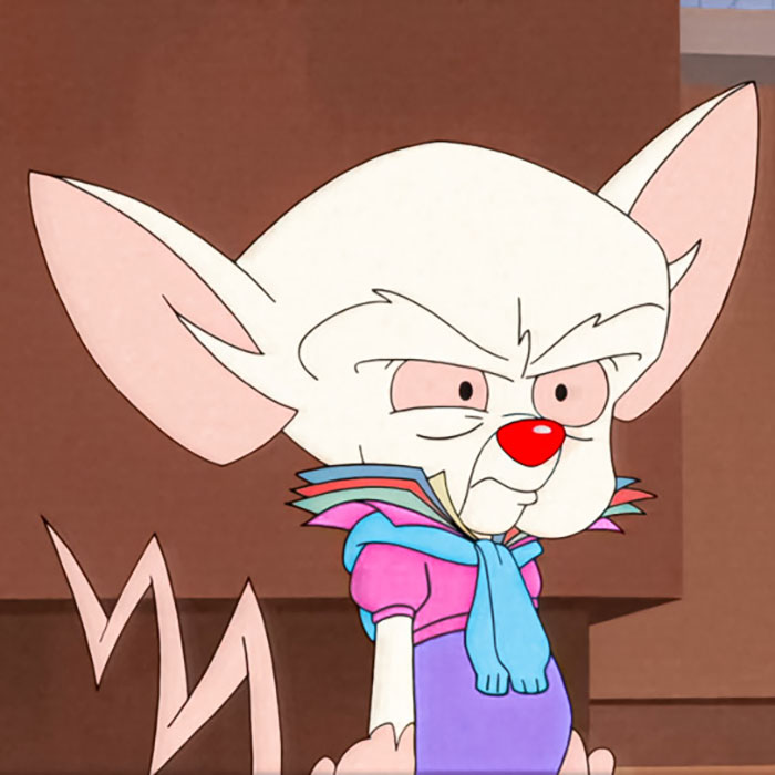Pinky and the Brain character The Brain is unhappy