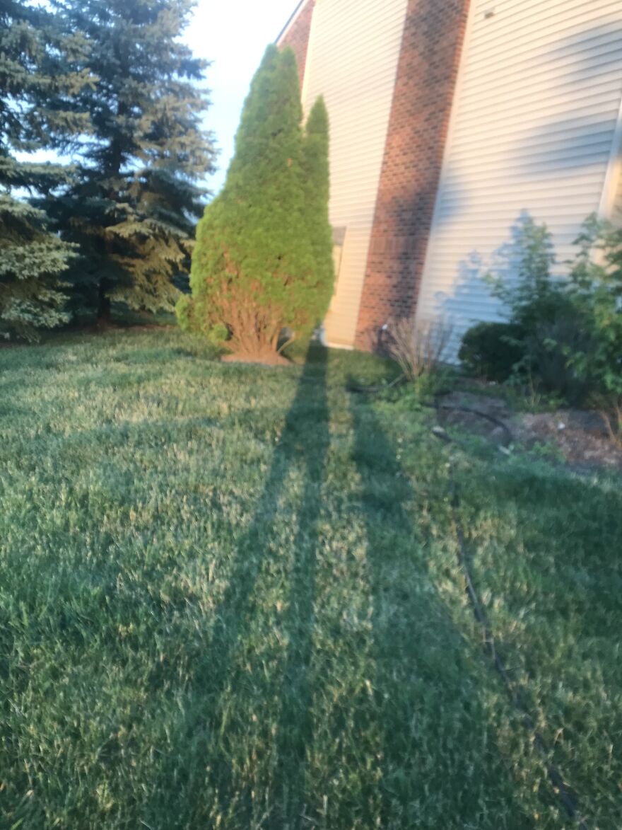 I Know It’s Not That Good