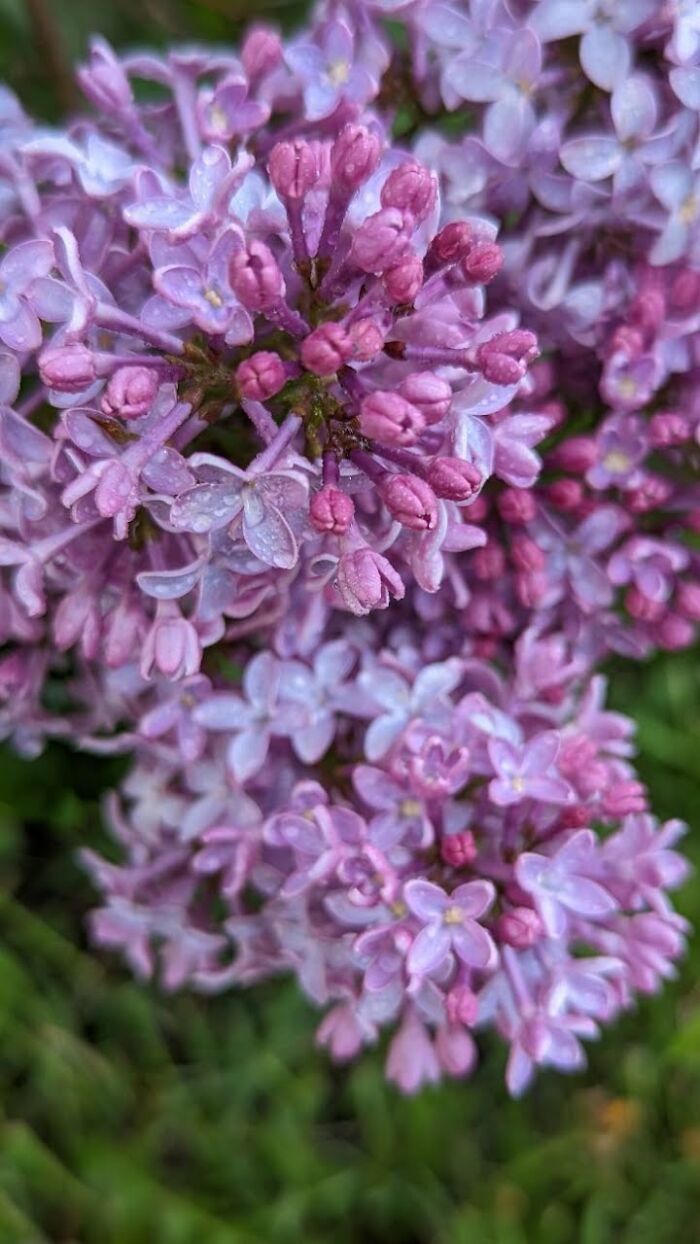 Some Amateur Photography