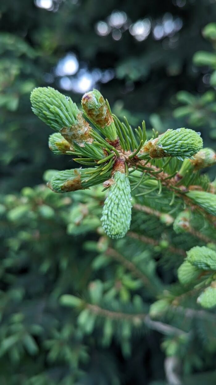 Some Amateur Photography