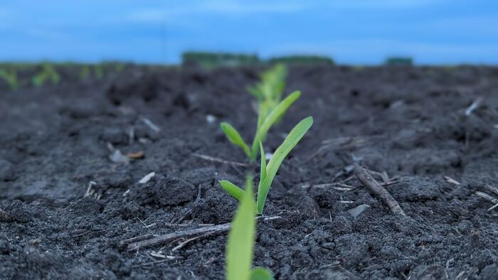 Some Amateur Photography