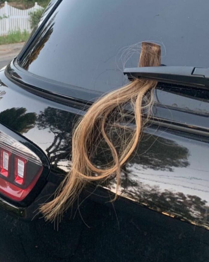 50 Times People Spotted Such Tragic Hairdo Accidents, They Just Had To Share Them In This Online Group