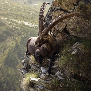 nicoleobrien9 avatar