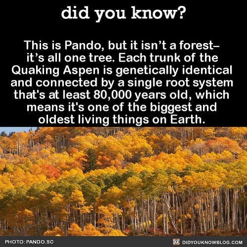 Interesting-Facts-Did-You-Know