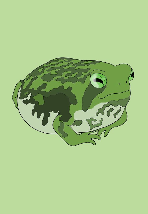 Green Froggy 🐸