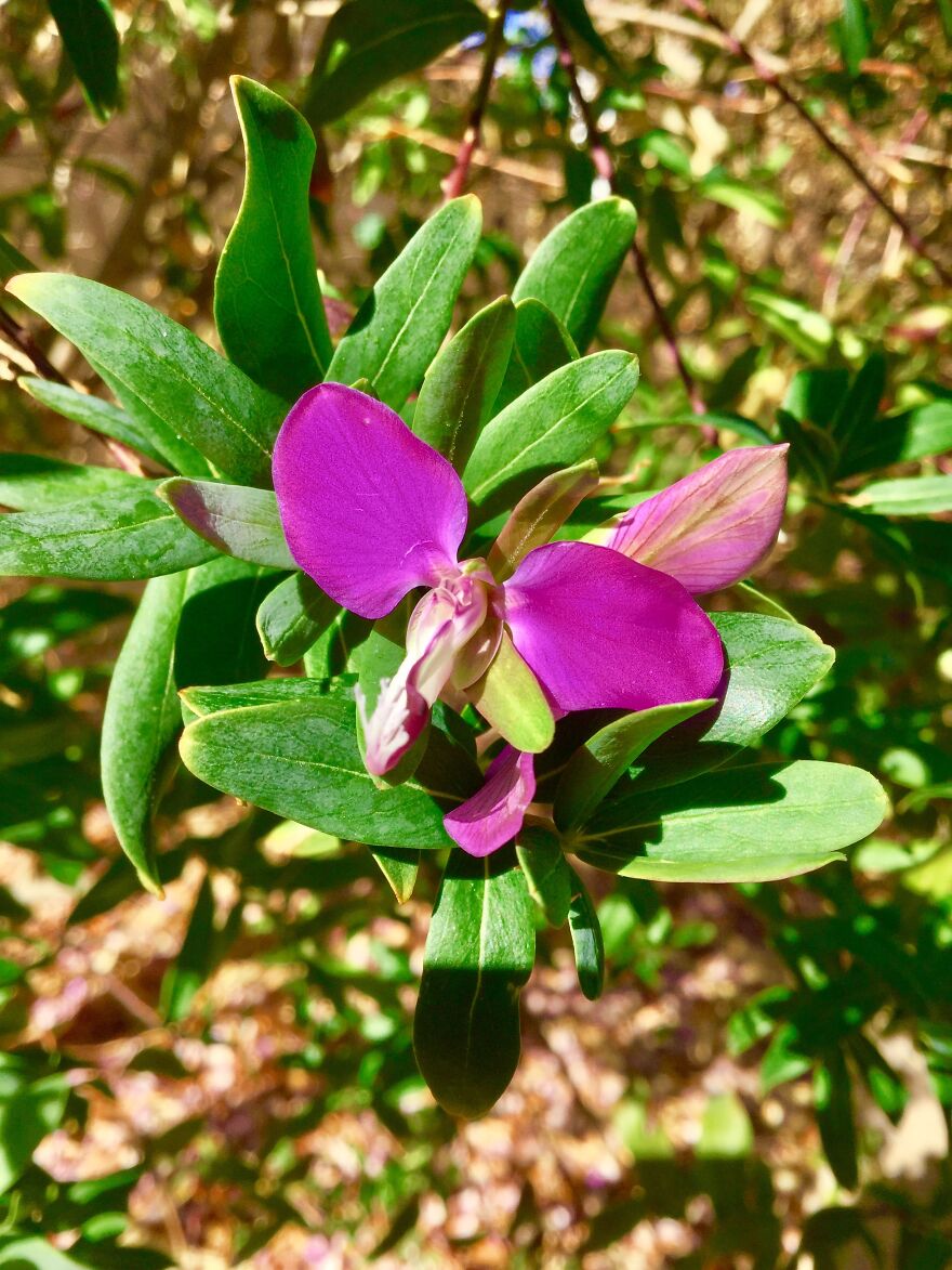 Patience Is A Virtue (And It Pays Off)!