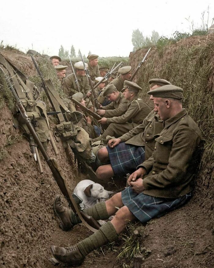 Men Of The Seaforth Highlanders Resting With A Dog In A Trench, Near La Gorgue, France In August 1915