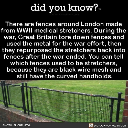 Interesting-Facts-Did-You-Know