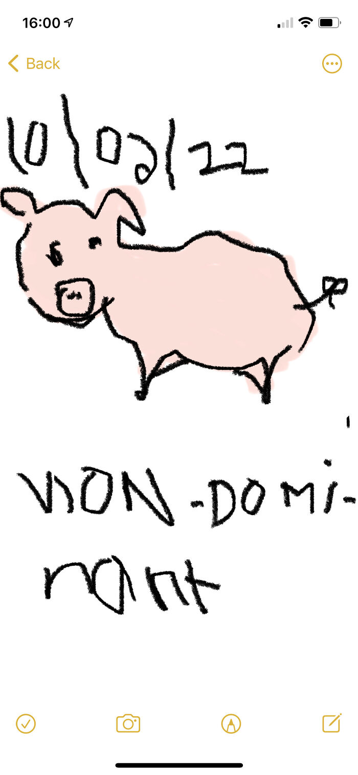 It’s A Pig By The Way