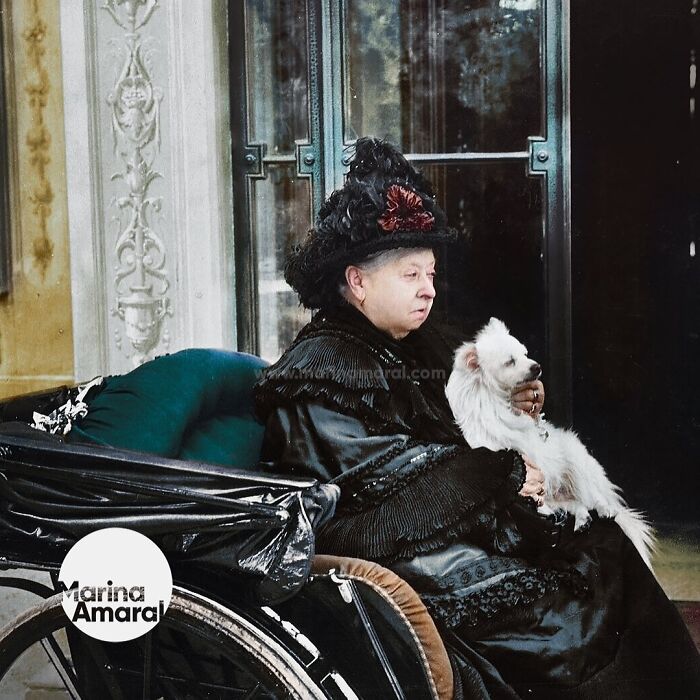 Queen Victoria Of The United Kingdom Sitting In A Carriage With Turi, Her Pomeranian Dog, In C. 1895