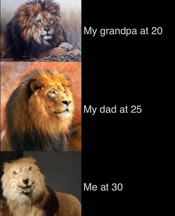 Funny-Dad-Memes-Raddad