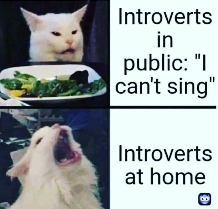 Funny-Introvert-Jokes-Theintrovertnation