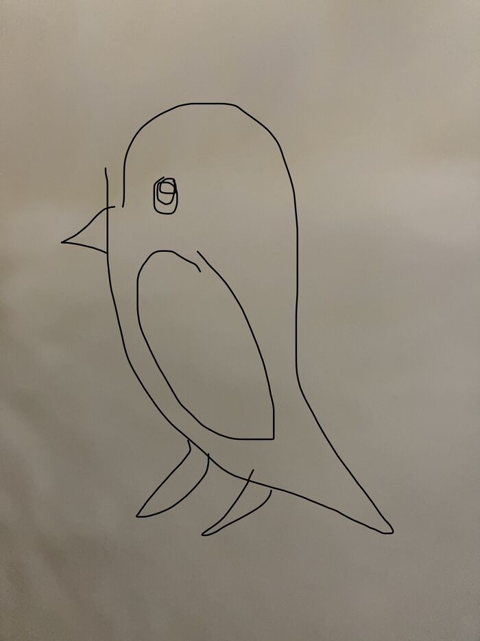 A Bird? I Can’t Even Draw In The First Place