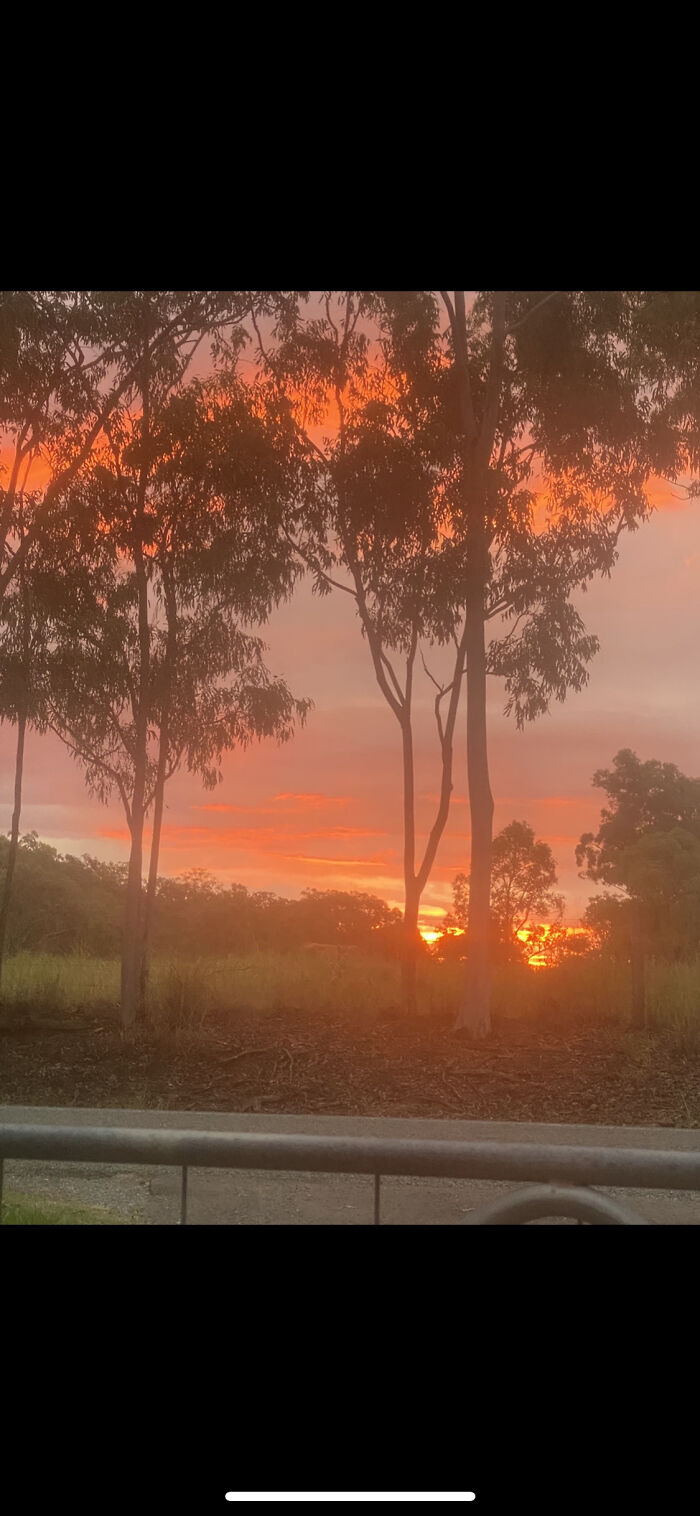 Not A Bad View For Taking Out The Bins!