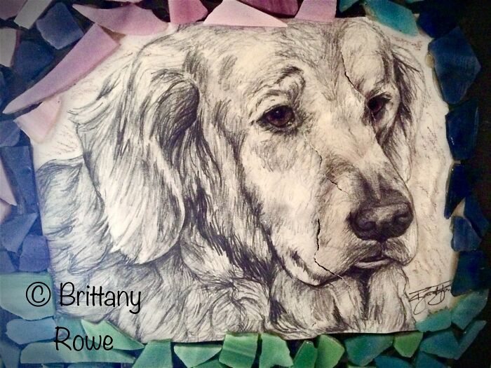 Sage - Was Somewhat Damaged/Torn But I Think I Put It Back Together Nicely.