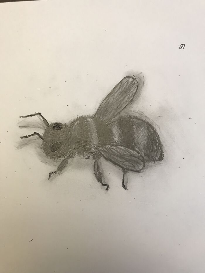 This Bee I Drew