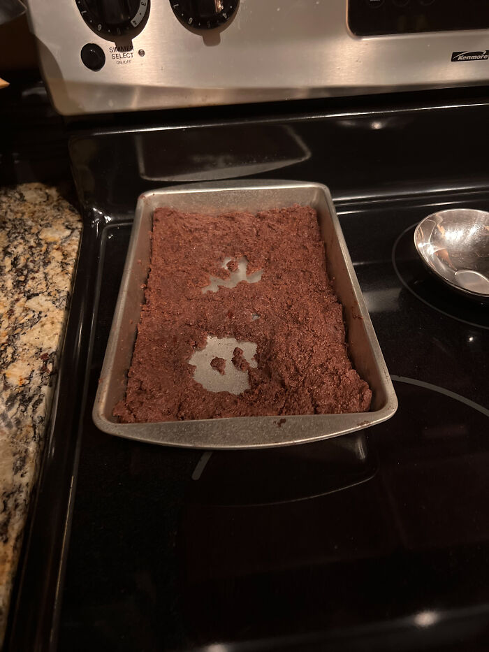 My Dog Ate My Mom’s Birthday Brownies (Had To Take Him To The Vet After)