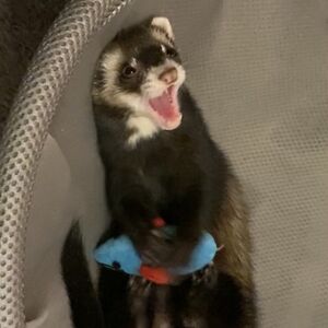 alexhertenstein avatar