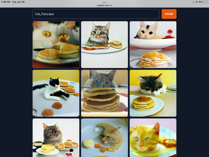 Pancake_cat