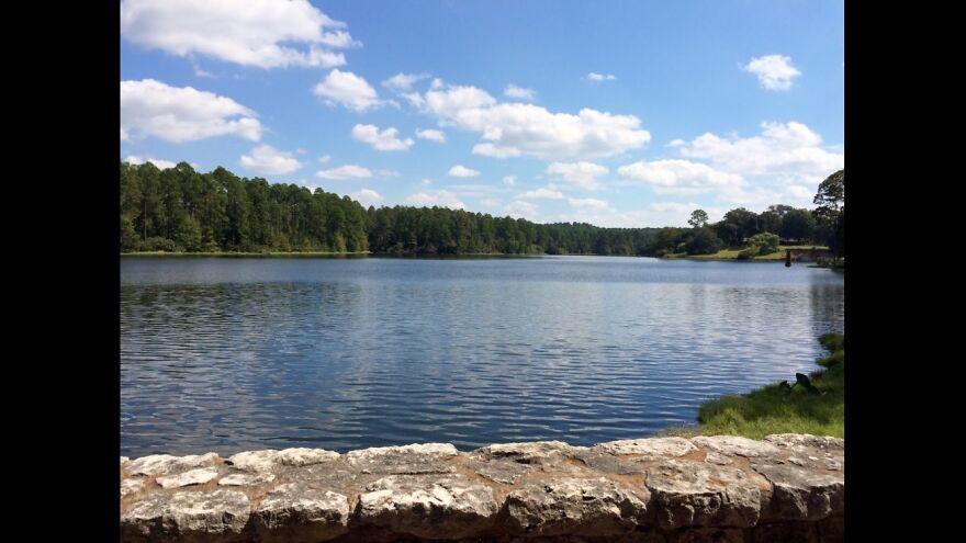 Hodges Gardens State Park Florian, La