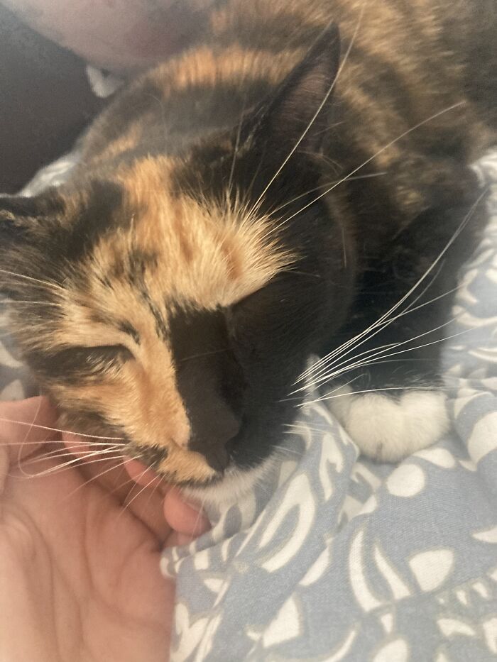 Do I Really Need To Explain