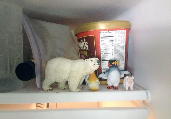 When I Asked My Little Bro Why There Were Polar Bears And Penguins In The Freezer, He Answered "Because That Is Where They Belong"