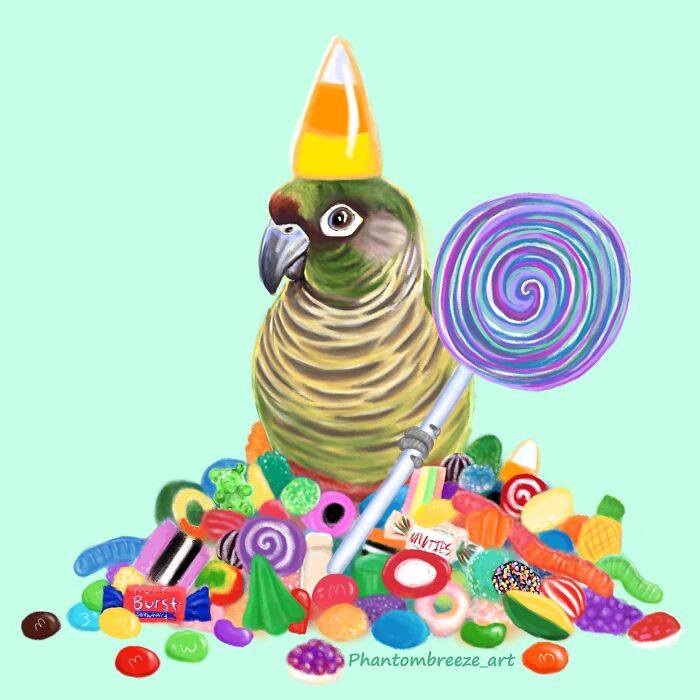 Candy Conure