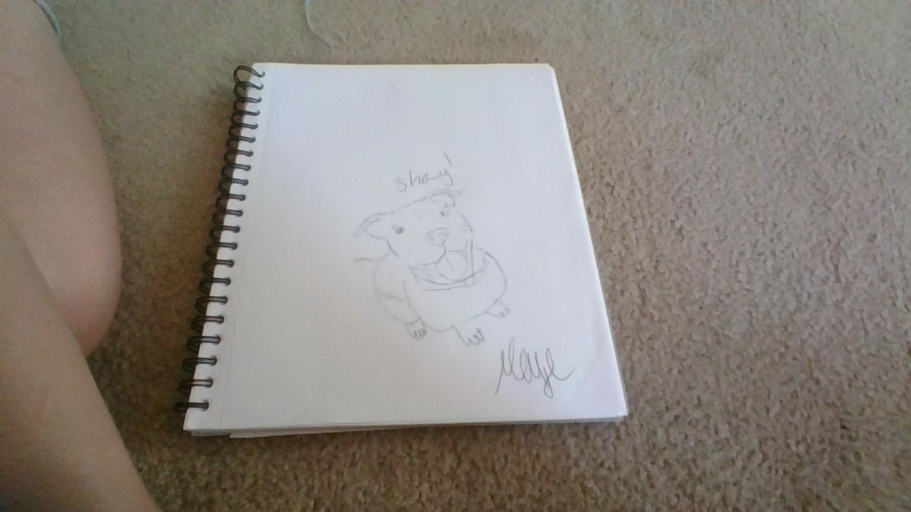 Hey Pandas, Draw A Picture Of Your Pet And Post The Result!