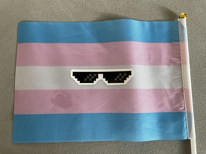 The Gamer Trans Flag 