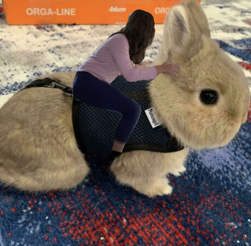 I Photoshopped My Family On Random Things!