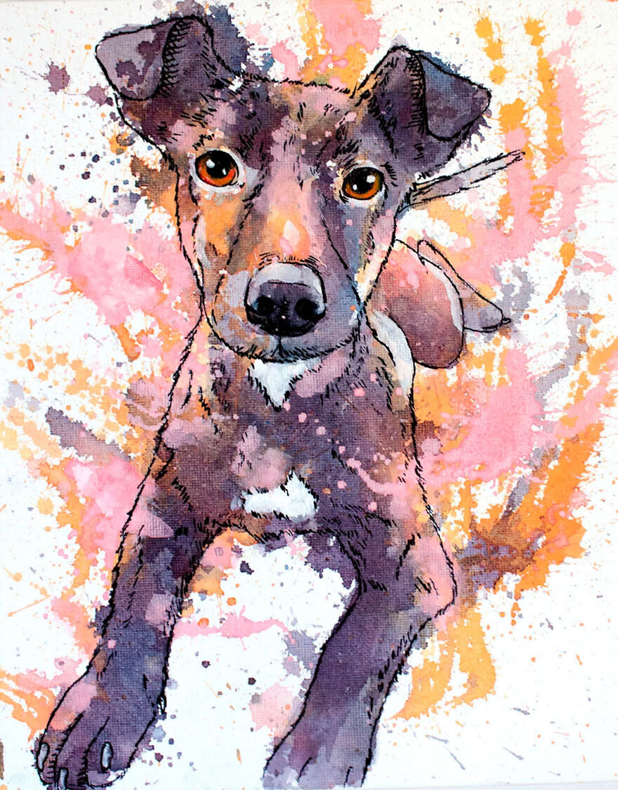 I Turn Your Pet Photos Into Personalized And Colorful Works Of Art