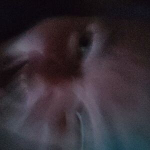 rubberducky3107_1 avatar