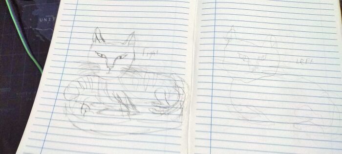 I Labeled Each Drawing Of A Cat With My Left Hand And My Right Hand