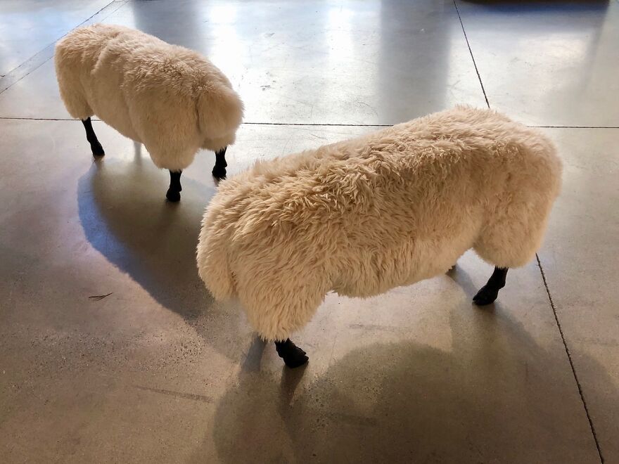 The Push Me - Push Ewe, Sheepskin, Bronze, Wood, Foam, Silicone, 30” X 48” X 20”