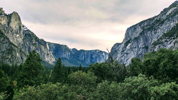 Yosemite National Park, California, United States Of America