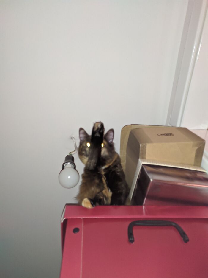 Showering On The Wardrobe