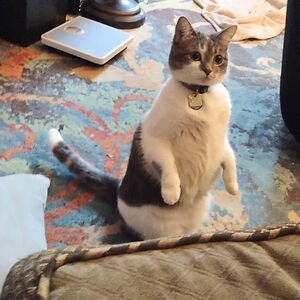 daphneyoung013 avatar