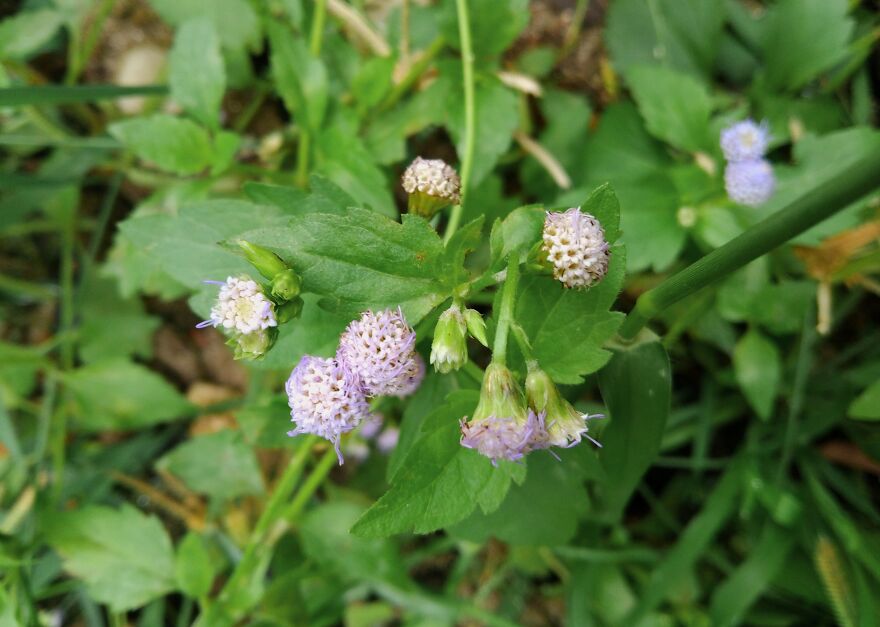 The Reason Why I Spend Almost All My Lifetime In The Back Yard