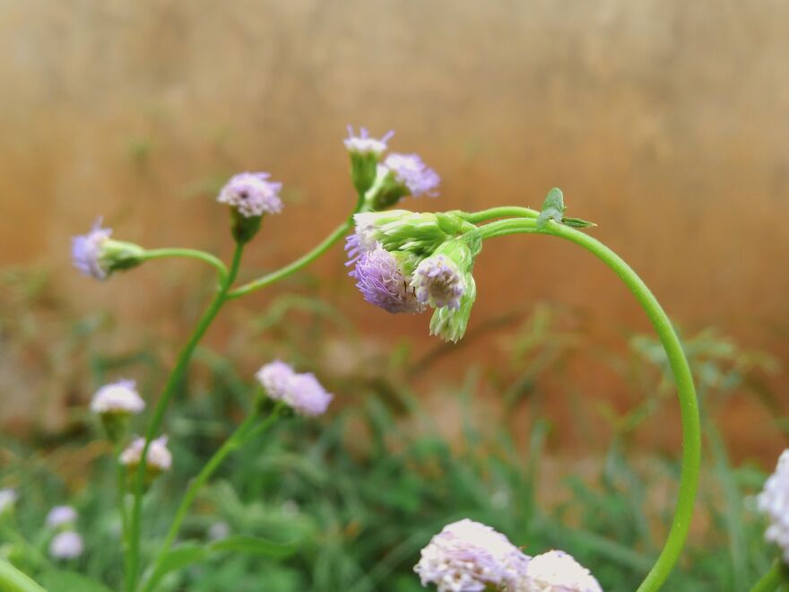 The Reason Why I Spend Almost All My Lifetime In The Back Yard