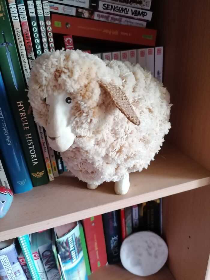 This Is Günther. The Second I Saw Him At The Thrift Store, I Knew We Were Destined To Meet.