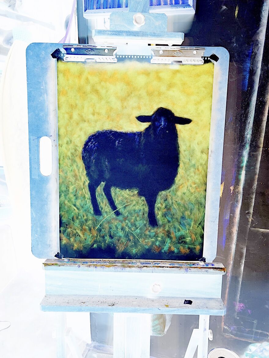 Negative Studio View, Negative Black Sheep, 24” X 18"