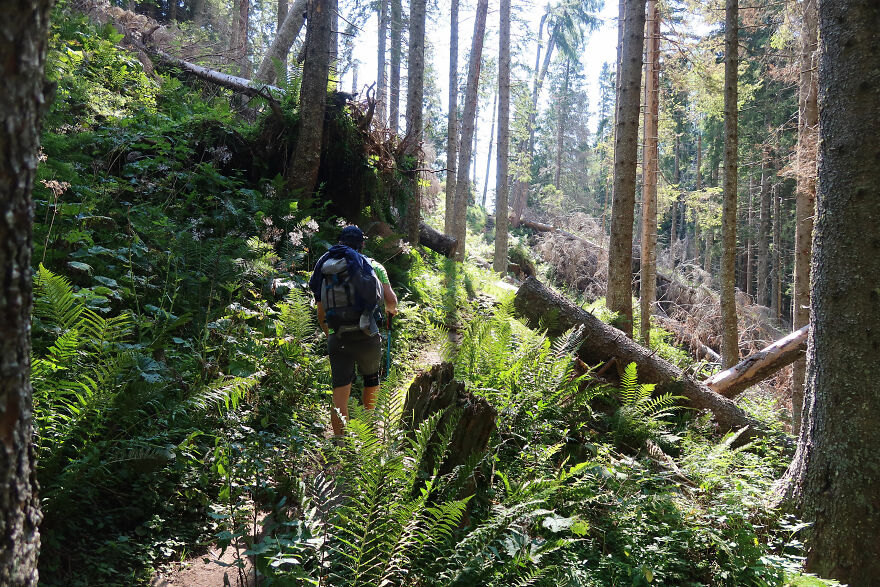 We Hiked The Italian Dolomitic Alps In 6 Days (31 Pics)
