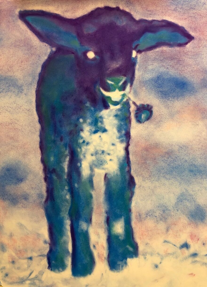 Negative Lamb With Flower, Pastel On Paper, 24” X 18”