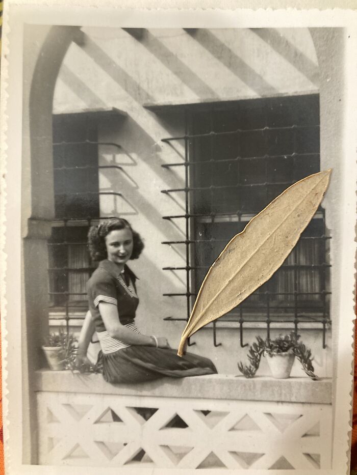 My (Future) Mother, 18, Posing In Front Of Her Parents House In Biskra, Algeria, Sent This Picture To Her Father, Dying Of Cancer In France, With A Leaf Of His Favorite Olive Tree. 75 Years Later, I’ve Still Got The Picture And The Leaf. She Died 7 Years Ago At 86.