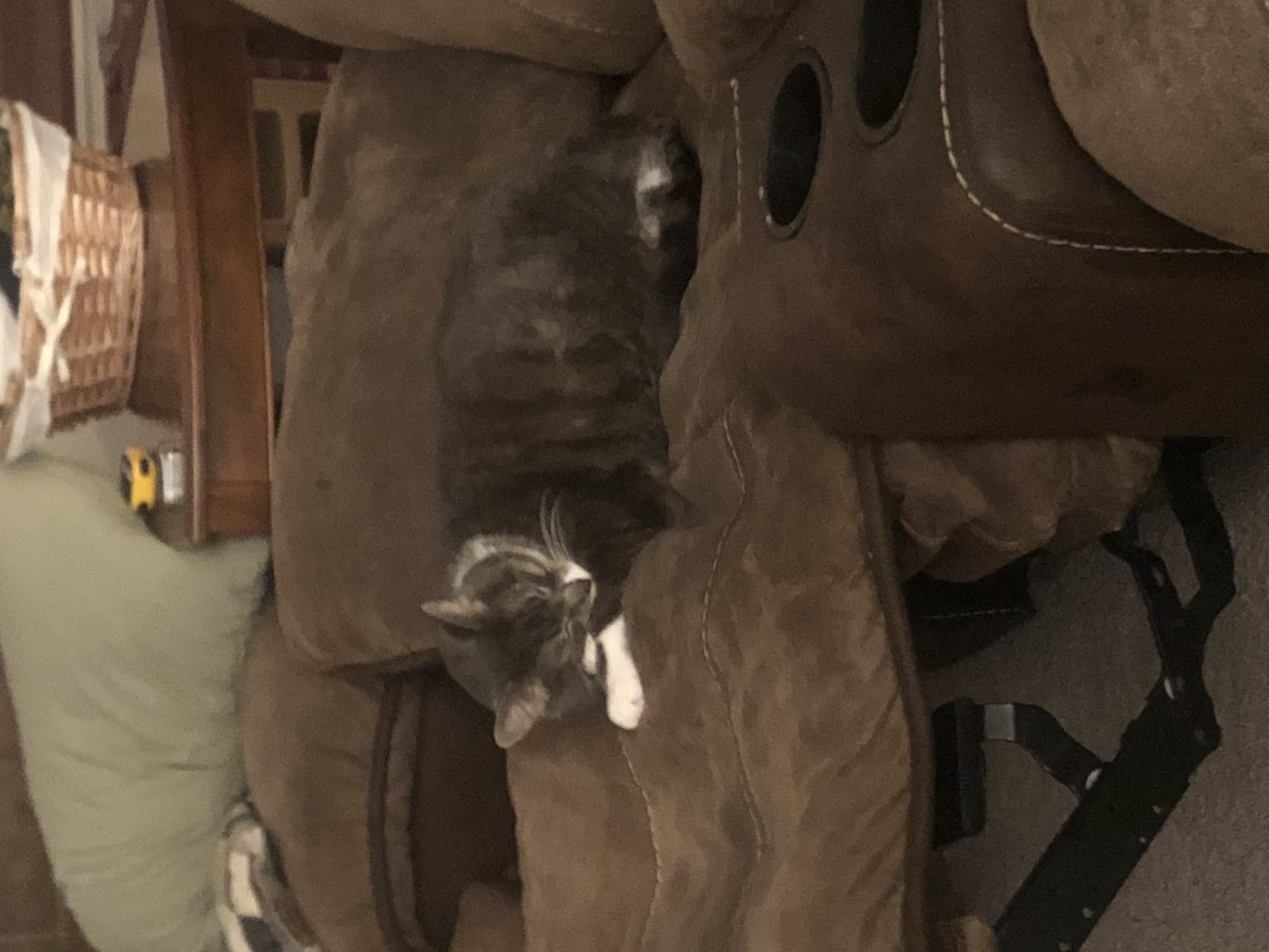 If Your Car Was On A Dating Website What Would Their Profile Be?