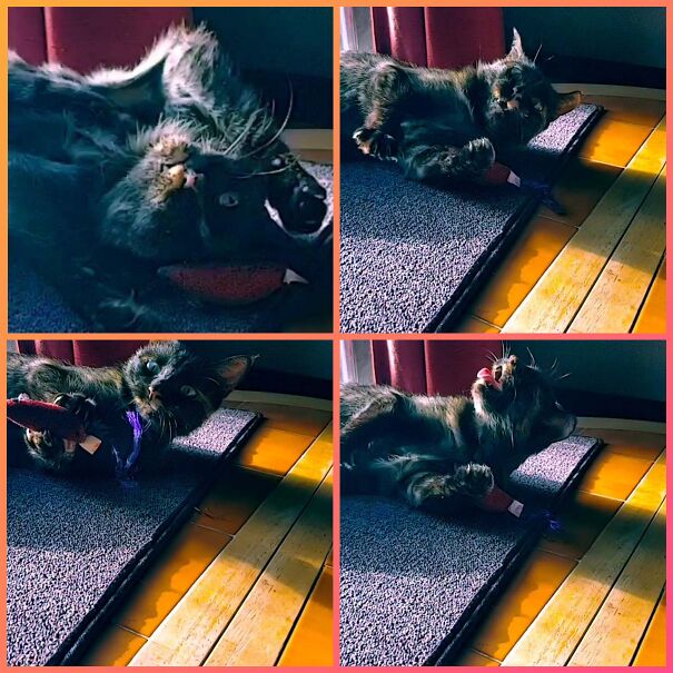 Cinder Summing Up Perfectly How I Am In The Morning Coming To Terms That 'Yes, I Do Need To Go To Work.'