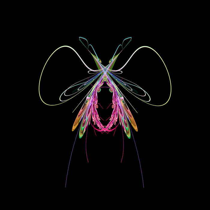 Insect Art Made With Fractals (12 Pics)