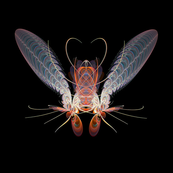Insect Art Made With Fractals (12 Pics)