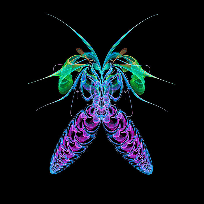 Insect Art Made With Fractals (12 Pics)